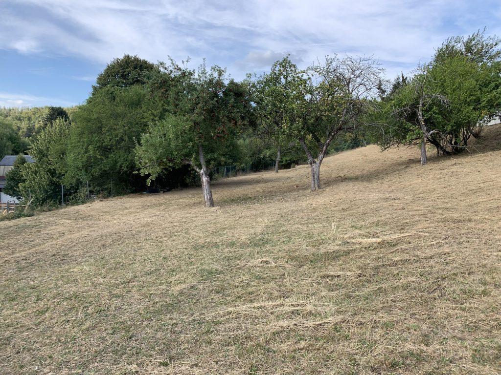 Schmitten-Arnoldshain! Baugrundstück mit einer Baugenehmigung für 3 freistehende Einfamilienhäuser